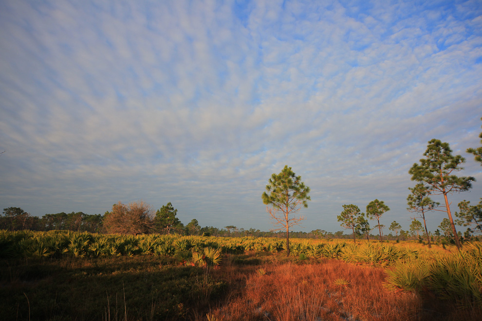 St. Sebastian River Preserve