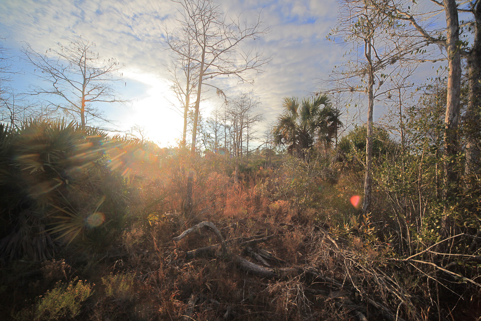 St. Sebastian River Preserve