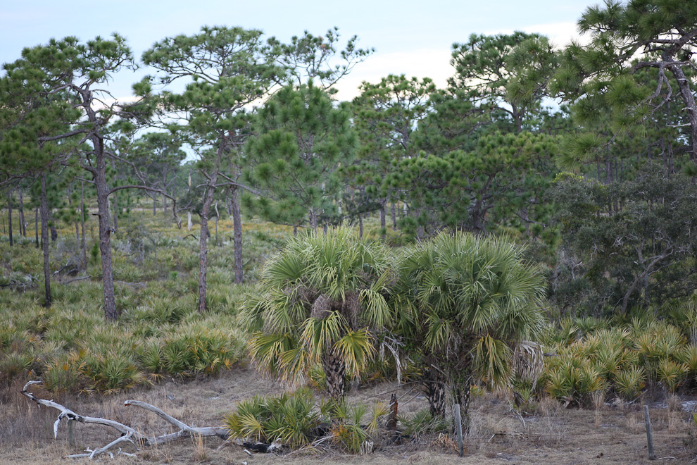 St. Sebastian River Preserve